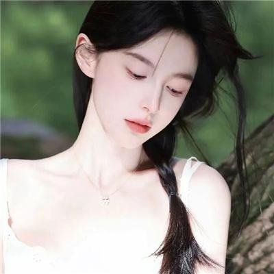 少林与武当海报