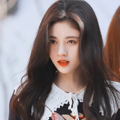 花儿与歌声海报